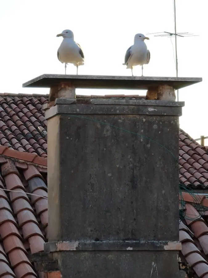 Friendly Venice Suites 2*,