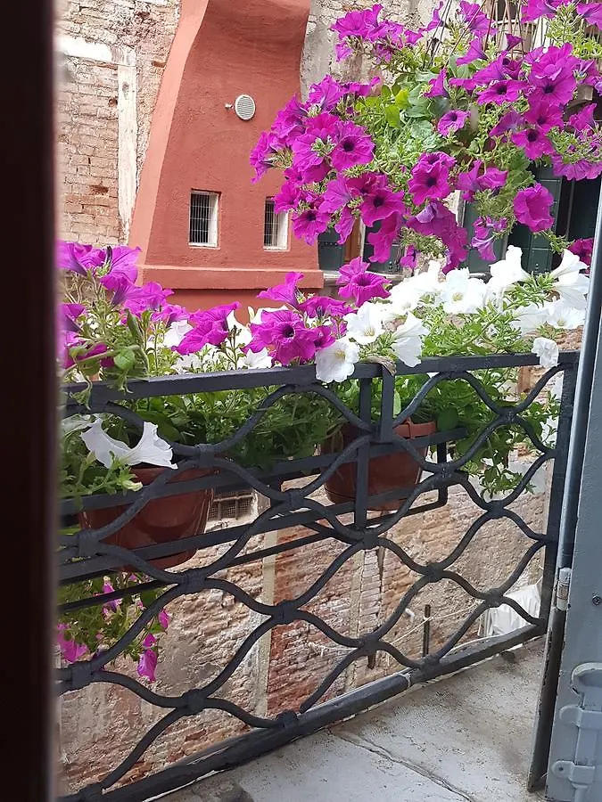 Friendly Venice Suites Guest house
